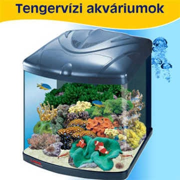 tengervízi akvárium